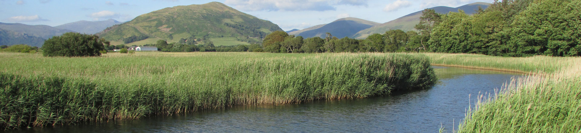 wales-banner-3.jpg